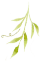 single green flourish down